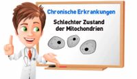 Zelltraining IHHT Erklärungsvideo DGES-Deutsche Gesellschaft für Ernährung und Sport